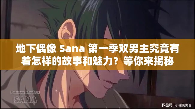 地下偶像 Sana 第一季双男主究竟有着怎样的故事和魅力？等你来揭秘