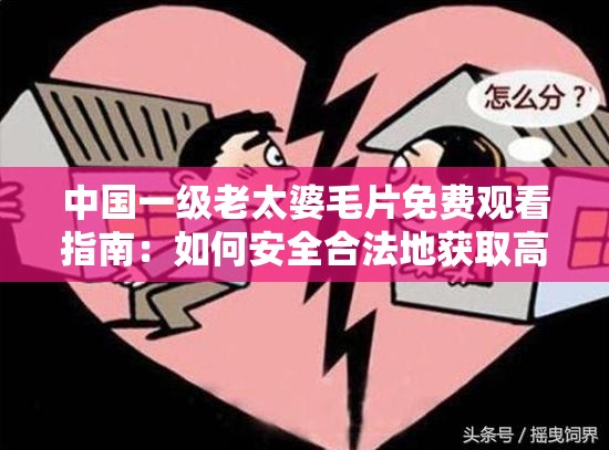 中国一级老太婆毛片免费观看指南：如何安全合法地获取高清资源？
