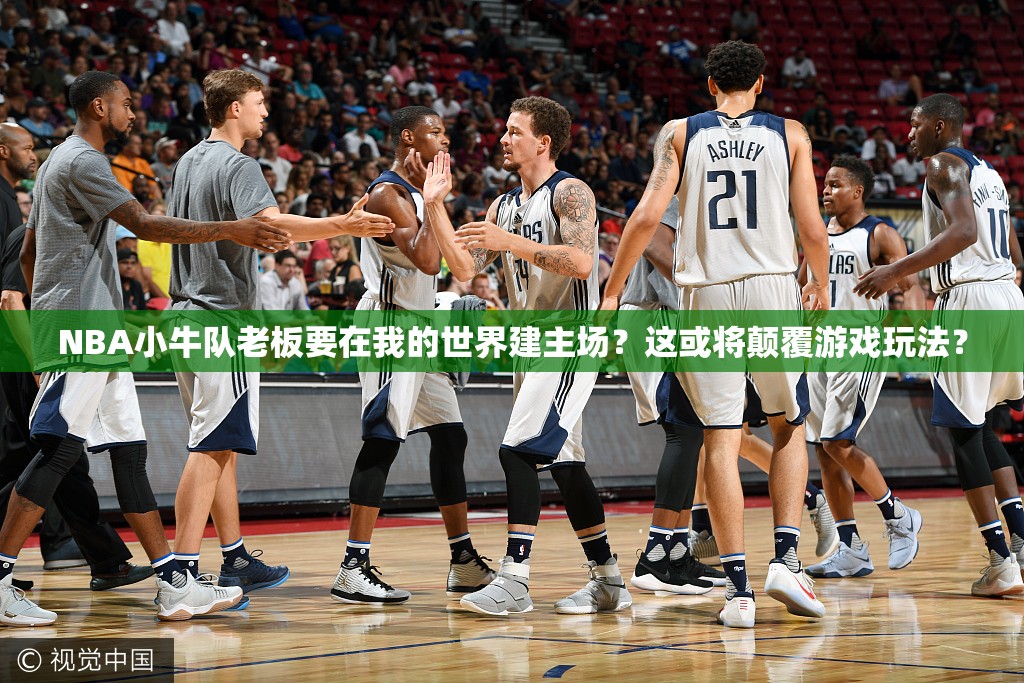 NBA小牛队老板要在我的世界建主场？这或将颠覆游戏玩法？
