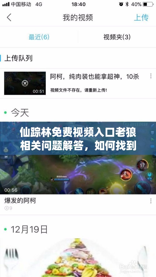 仙踪林免费视频入口老狼相关问题解答，如何找到其真正的入口？