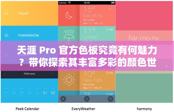 天涯 Pro 官方色板究竟有何魅力？带你探索其丰富多彩的颜色世界