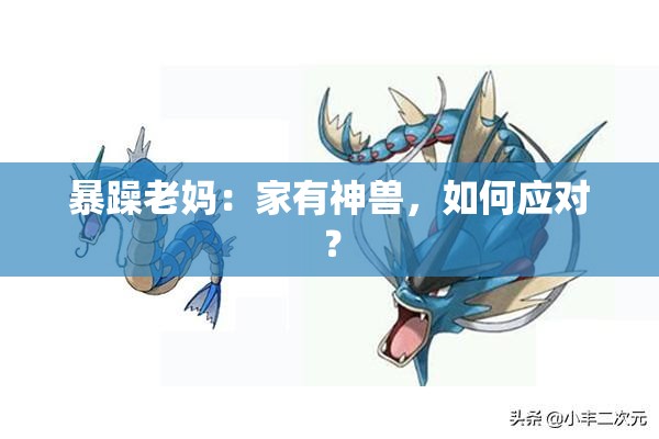 暴躁老妈：家有神兽，如何应对？