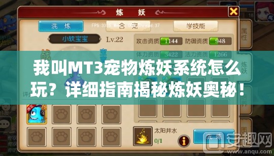 我叫MT3宠物炼妖系统怎么玩？详细指南揭秘炼妖奥秘！