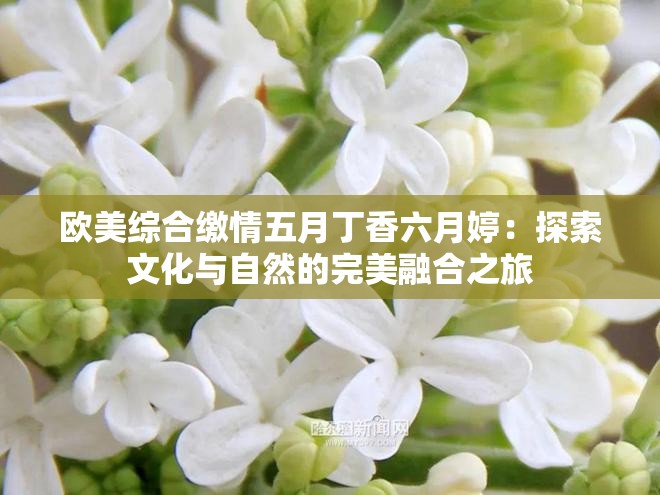 欧美综合缴情五月丁香六月婷：探索文化与自然的完美融合之旅
