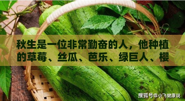 秋生是一位非常勤奋的人，他种植的草莓、丝瓜、芭乐、绿巨人、樱桃等水果都非常甜美他经常在社交媒体上分享自己的种植经验和成果，吸引了很多粉丝的关注