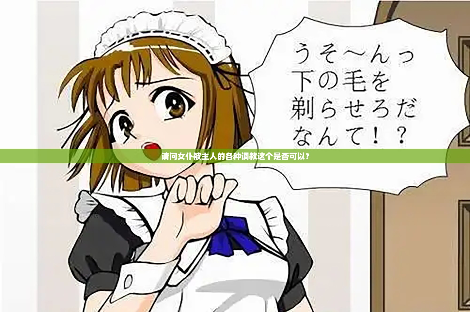 请问女仆被主人的各种调教这个是否可以？