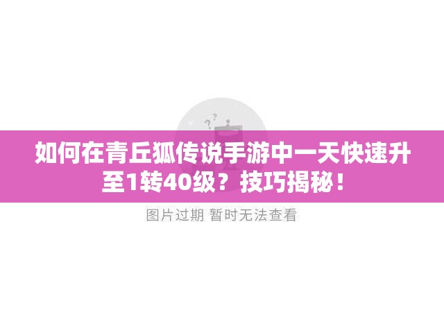 如何在青丘狐传说手游中一天快速升至1转40级？技巧揭秘！