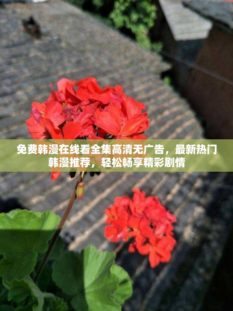 免费韩漫在线看全集高清无广告，最新热门韩漫推荐，轻松畅享精彩剧情