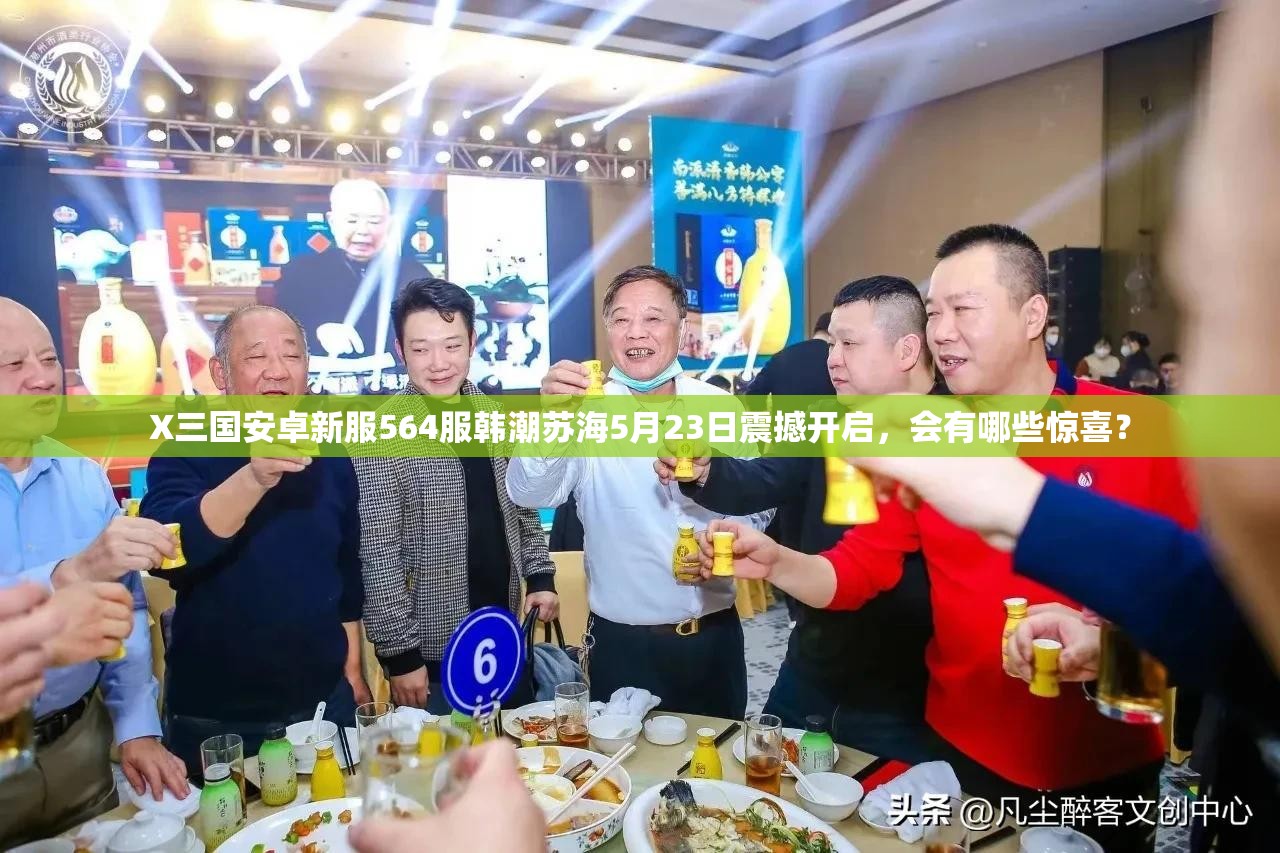 X三国安卓新服564服韩潮苏海5月23日震撼开启，会有哪些惊喜？