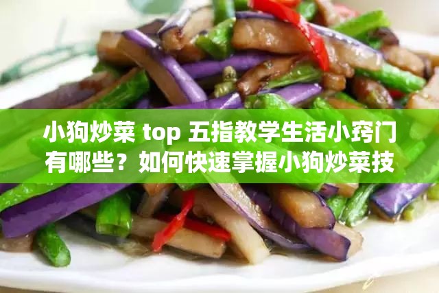 小狗炒菜 top 五指教学生活小窍门有哪些？如何快速掌握小狗炒菜技巧？