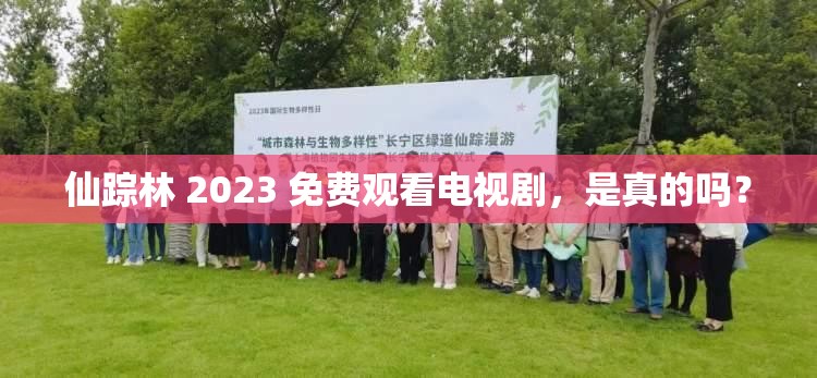 仙踪林 2023 免费观看电视剧，是真的吗？