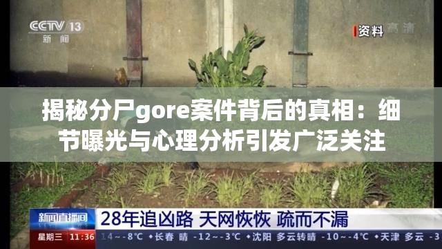 揭秘分尸gore案件背后的真相：细节曝光与心理分析引发广泛关注