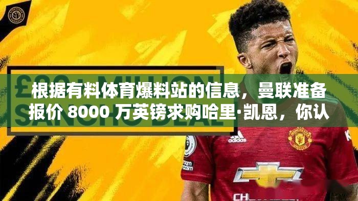 根据有料体育爆料站的信息，曼联准备报价 8000 万英镑求购哈里·凯恩，你认为曼联应该引进这位英格兰前锋吗？
