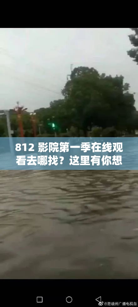 812 影院第一季在线观看去哪找？这里有你想要的答案快来看