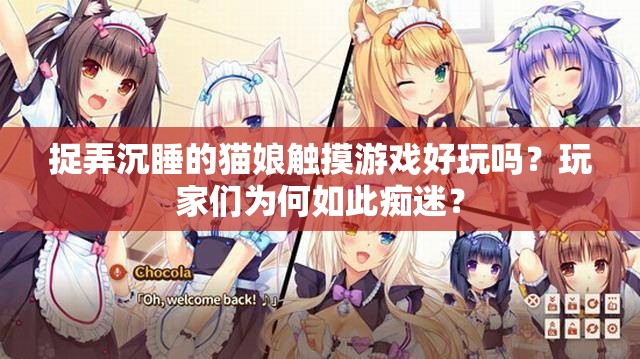 捉弄沉睡的猫娘触摸游戏好玩吗？玩家们为何如此痴迷？