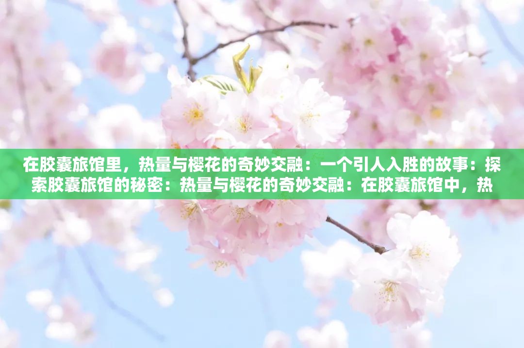 在胶囊旅馆里，热量与樱花的奇妙交融：一个引人入胜的故事：探索胶囊旅馆的秘密：热量与樱花的奇妙交融：在胶囊旅馆中，热量与樱花的梦幻交织：揭秘胶囊旅馆：热量与樱花的浪漫邂逅