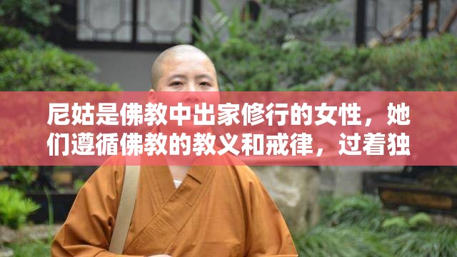 尼姑是佛教中出家修行的女性，她们遵循佛教的教义和戒律，过着独身、素食、禁欲的生活那么，尼姑是如何修行的呢？她们的日常生活又是怎样的呢？