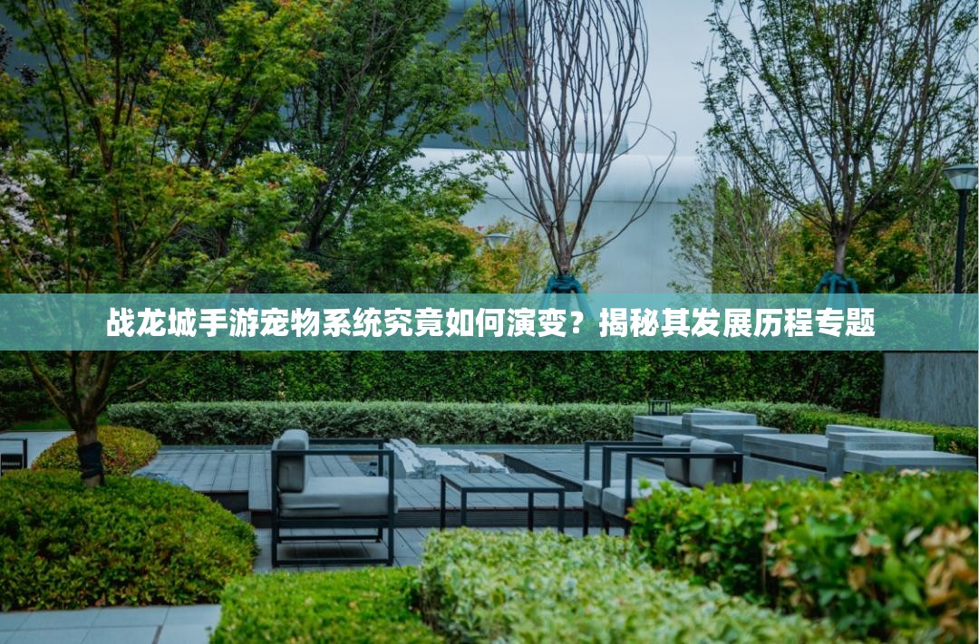 战龙城手游宠物系统究竟如何演变？揭秘其发展历程专题