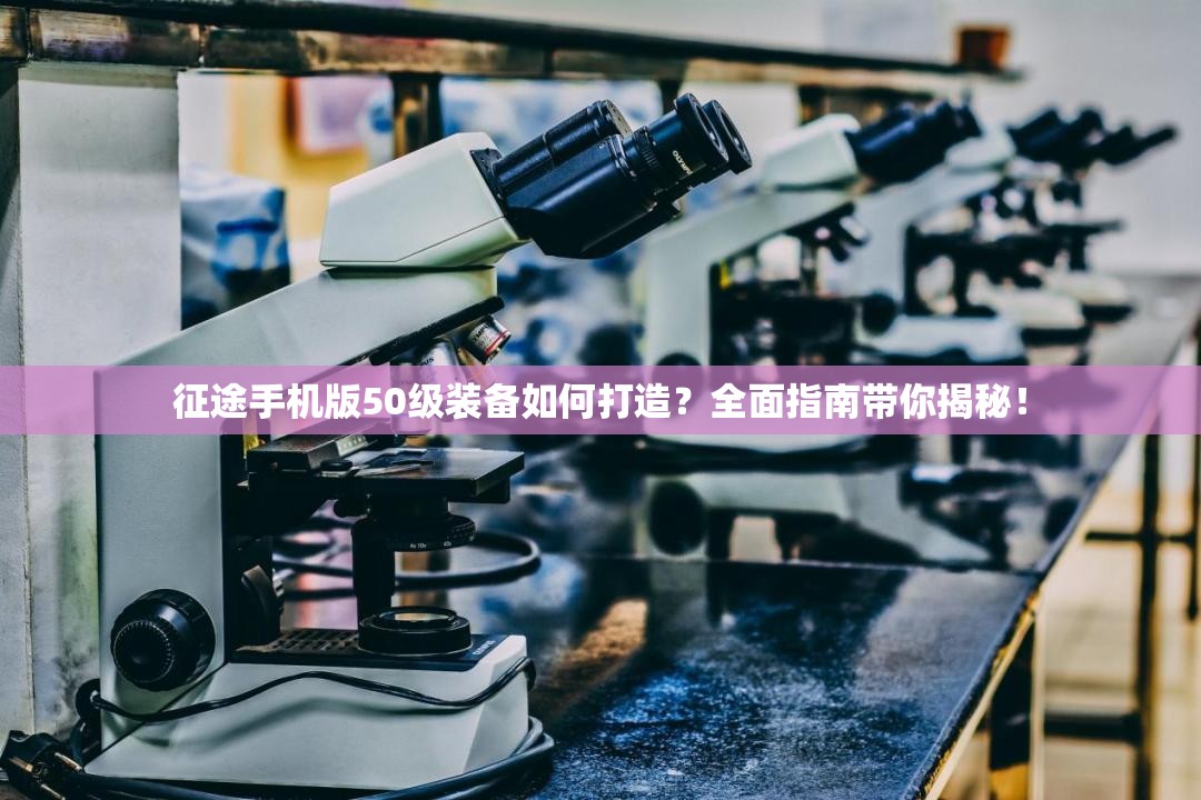 征途手机版50级装备如何打造？全面指南带你揭秘！