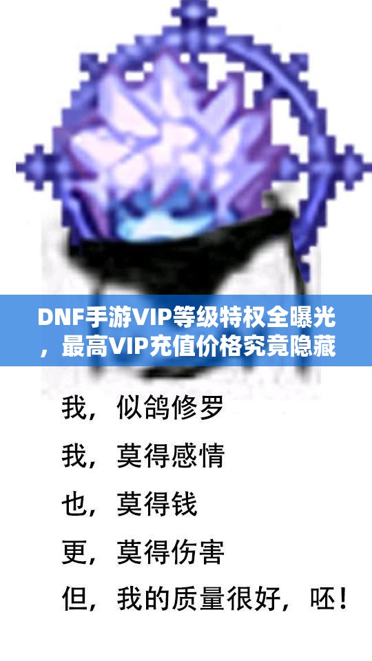 DNF手游VIP等级特权全曝光，最高VIP充值价格究竟隐藏多少秘密？