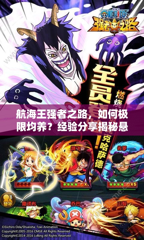 航海王强者之路，如何极限均养？经验分享揭秘悬念！
