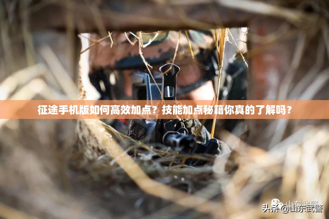 征途手机版如何高效加点？技能加点秘籍你真的了解吗？