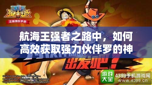 航海王强者之路中，如何高效获取强力伙伴罗的神秘途径？