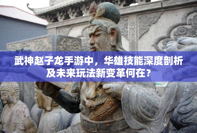武神赵子龙手游中，华雄技能深度剖析及未来玩法新变革何在？