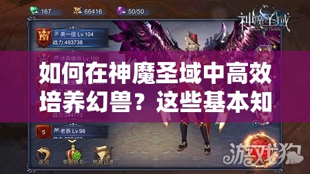 如何在神魔圣域中高效培养幻兽？这些基本知识你真的了解吗？