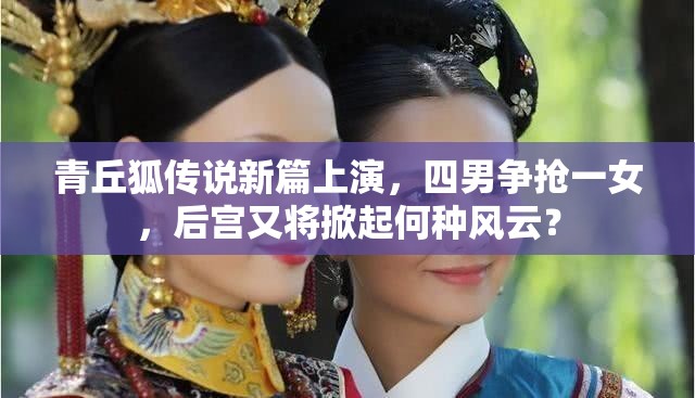 青丘狐传说新篇上演，四男争抢一女，后宫又将掀起何种风云？