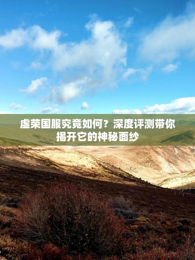 虚荣国服究竟如何？深度评测带你揭开它的神秘面纱