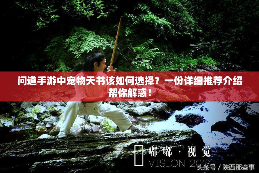 问道手游中宠物天书该如何选择？一份详细推荐介绍帮你解惑！