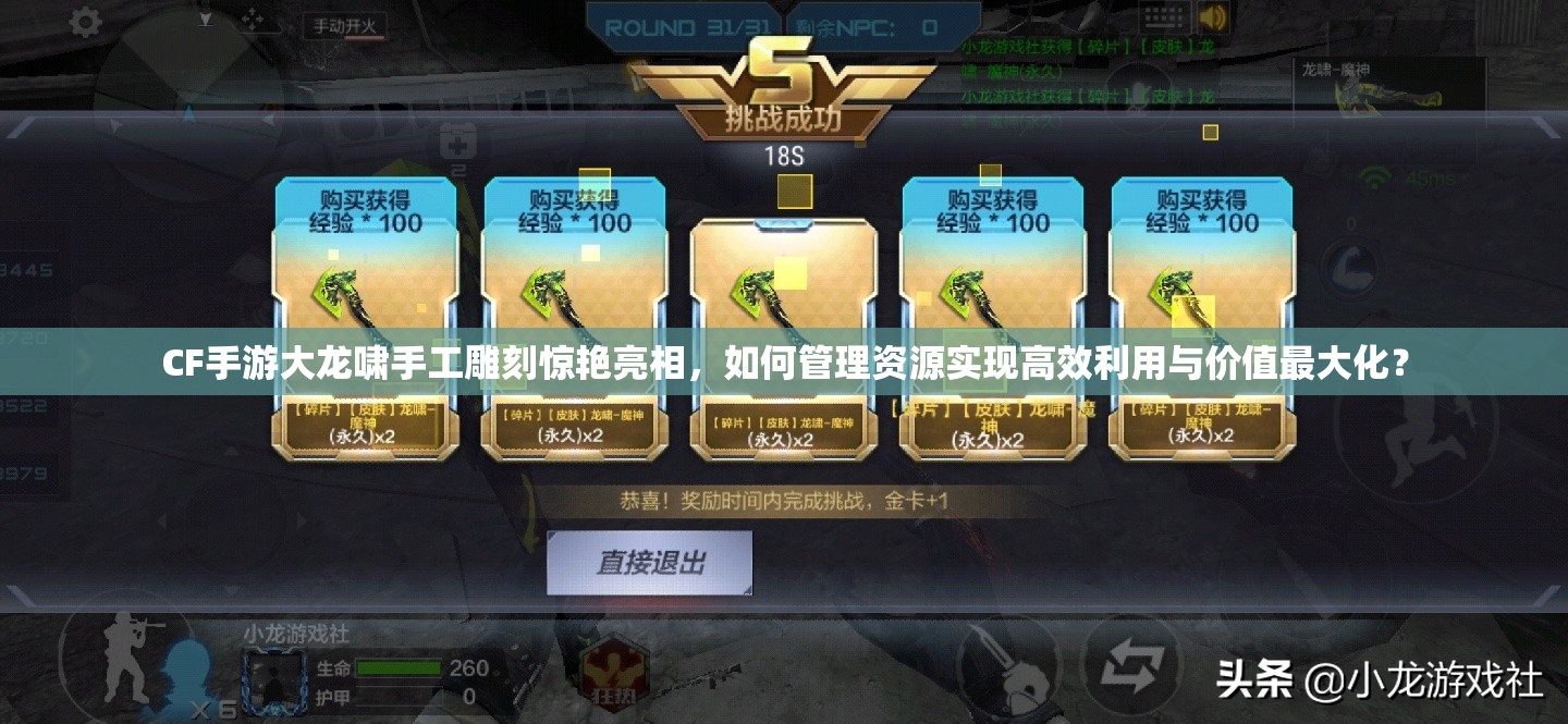 CF手游大龙啸手工雕刻惊艳亮相，如何管理资源实现高效利用与价值最大化？