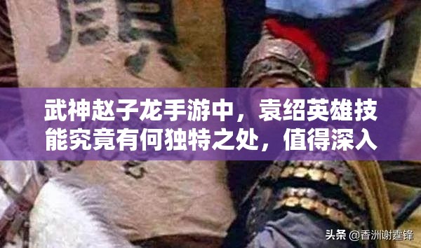武神赵子龙手游中，袁绍英雄技能究竟有何独特之处，值得深入探究？