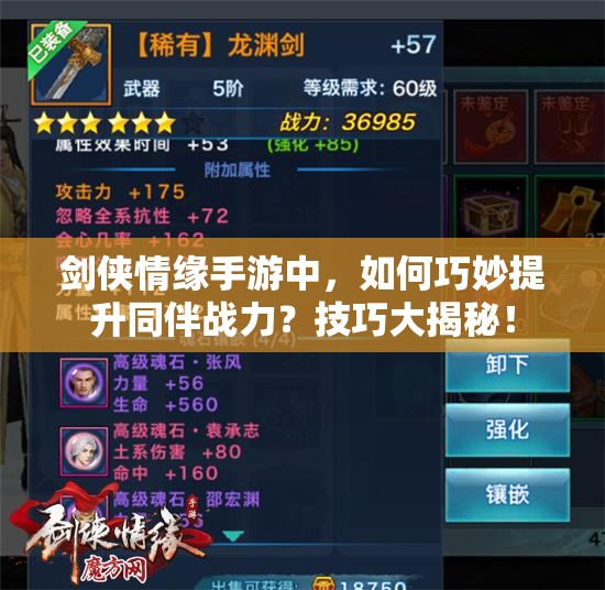剑侠情缘手游中，如何巧妙提升同伴战力？技巧大揭秘！