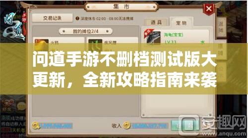 问道手游不删档测试版大更新，全新攻略指南来袭，你准备好了吗？
