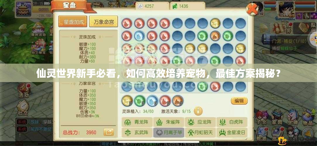 仙灵世界新手必看，如何高效培养宠物，最佳方案揭秘？