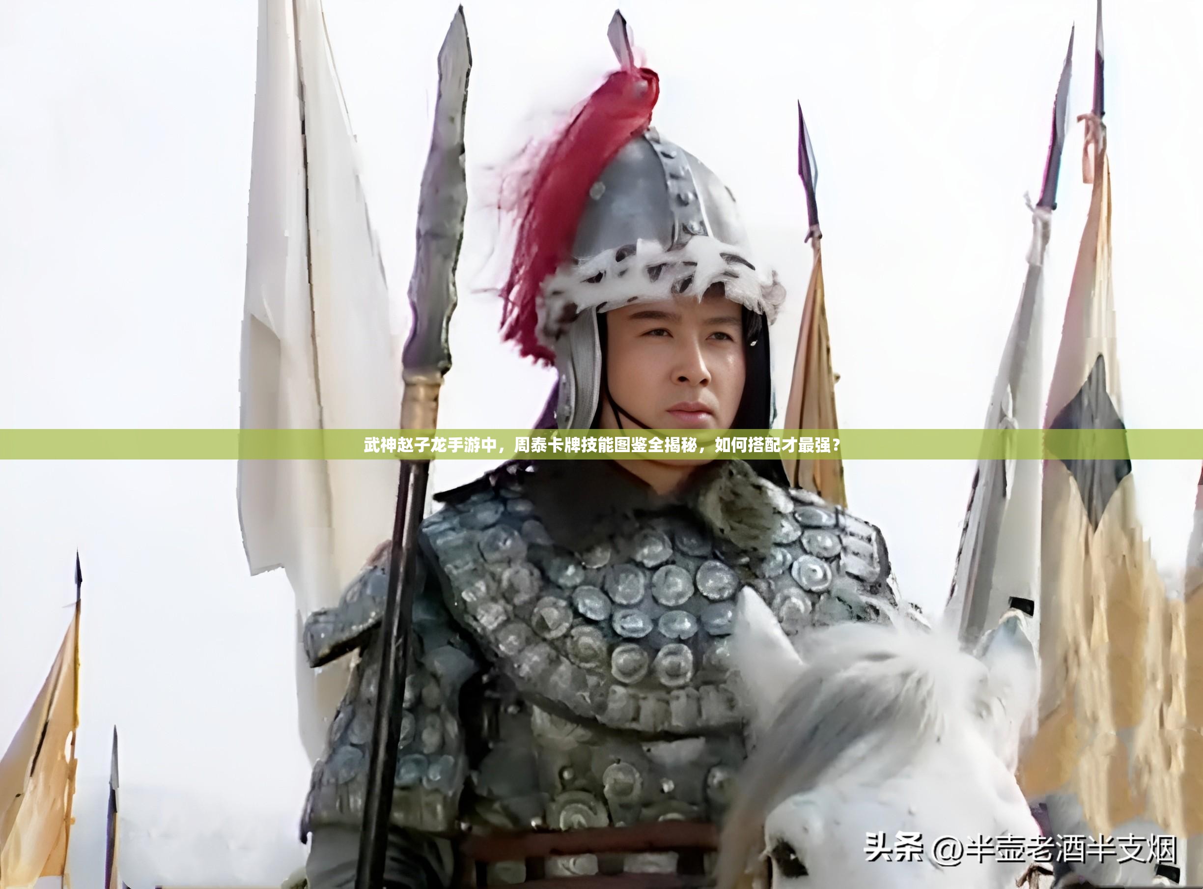 武神赵子龙手游中，周泰卡牌技能图鉴全揭秘，如何搭配才最强？