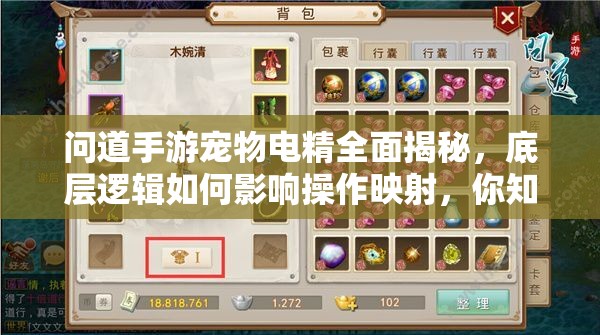 问道手游宠物电精全面揭秘，底层逻辑如何影响操作映射，你知道吗？