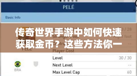 传奇世界手游中如何快速获取金币？这些方法你一定不知道！